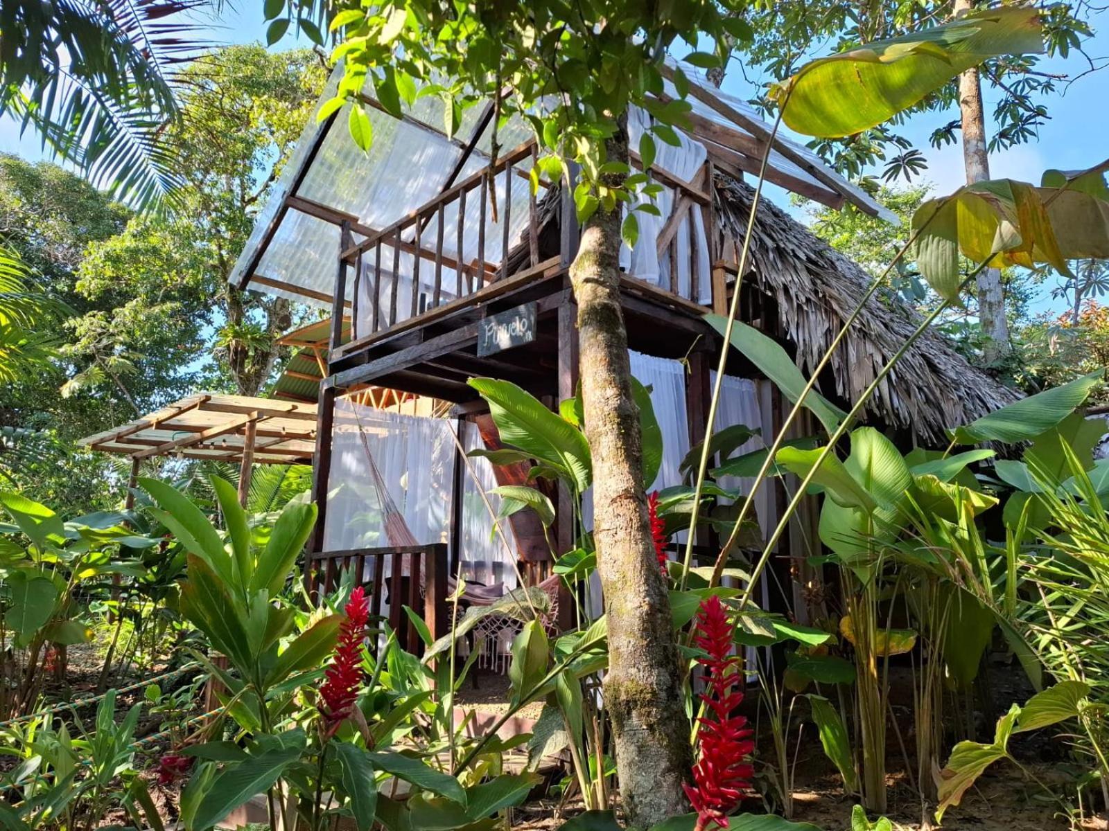 Mangle House Cabanas Ladrilleros Buenaventura Eksteriør bilde