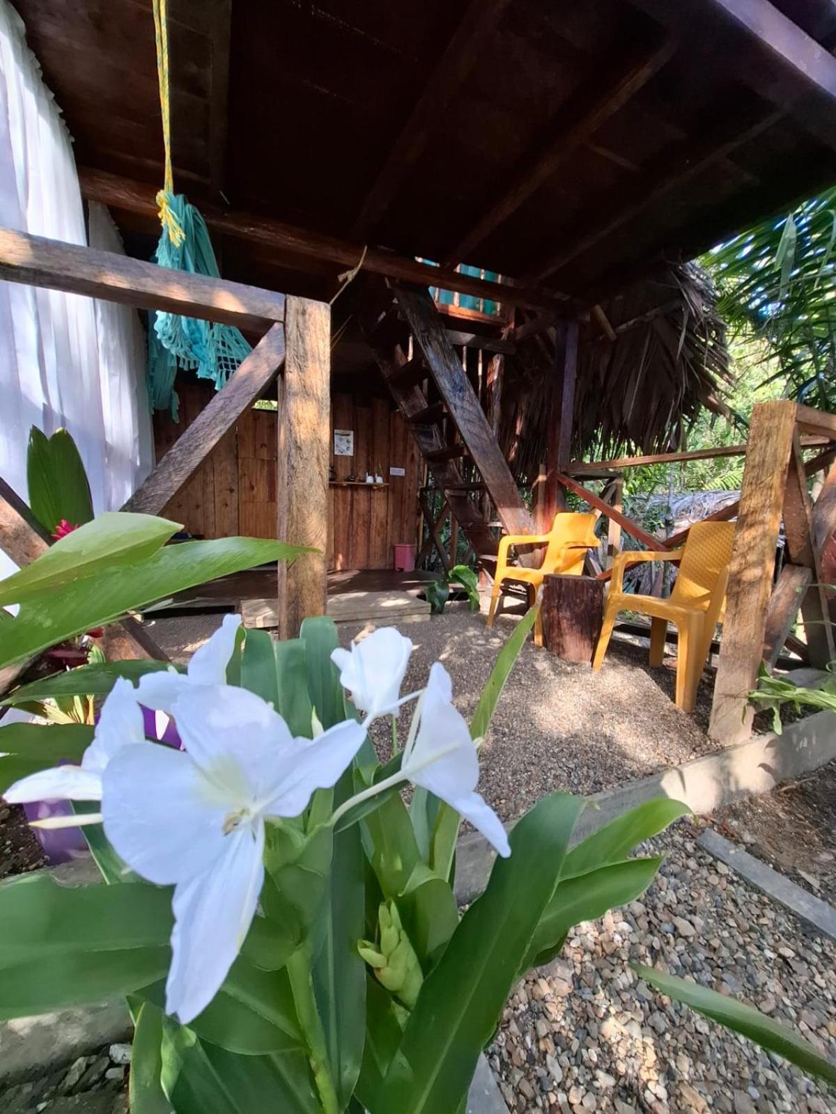 Mangle House Cabanas Ladrilleros Buenaventura Eksteriør bilde